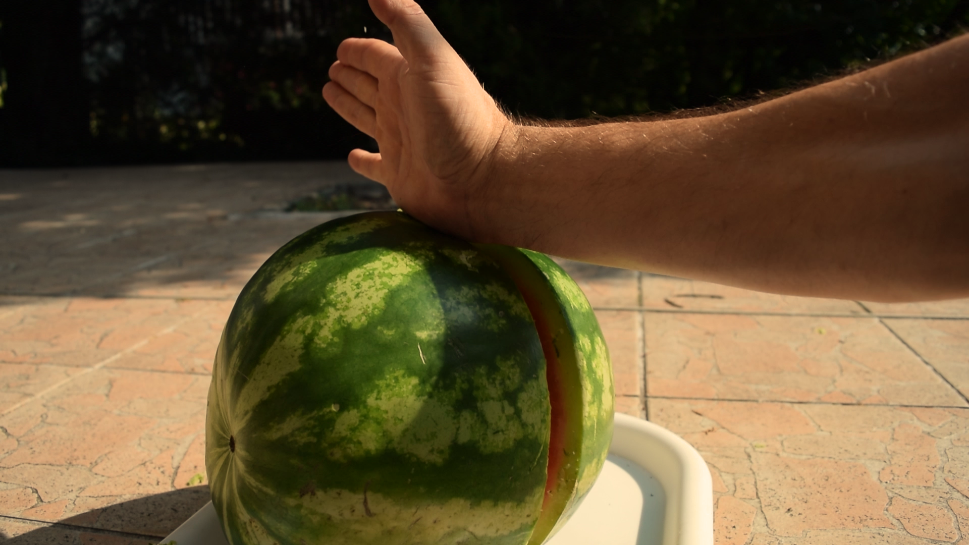 How to cut a watermelon half with a coin_freeze10.bmp