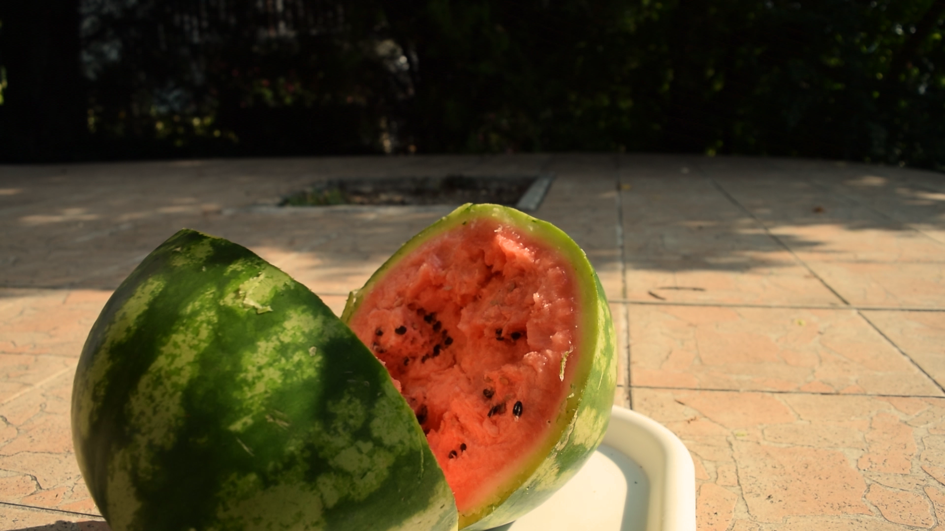 How to cut a watermelon half with a coin_freeze11.bmp