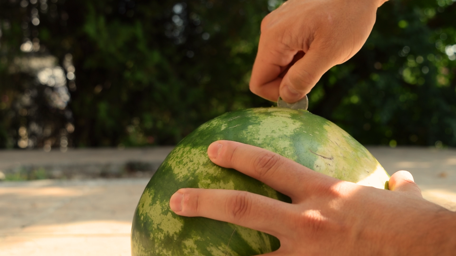 How to cut a watermelon half with a coin_freeze3.bmp