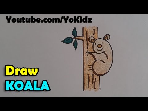 How to draw a Koala Cartoon