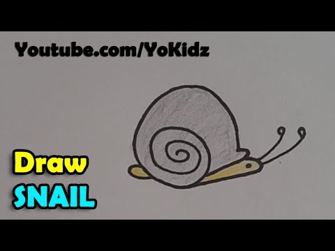 How to draw a cartoon snail