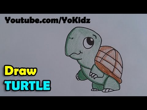 How to draw a turtle cartoon