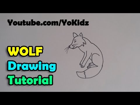 How to draw cartoon wolf for kids easy and simple