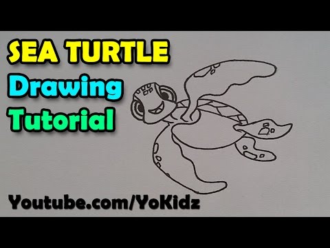 How to draw sea Turtle