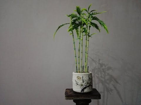 How to make DIY Dwarf Bamboo palm plant