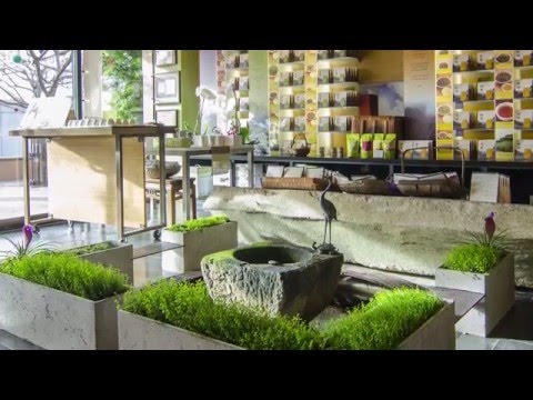 How to make a ShapeCrete Hypertufa Planter