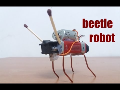 How to make a beetle robot | DIY