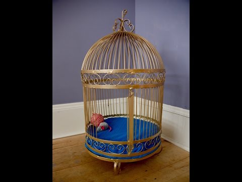 How to make a birdcage a DIY cat bed