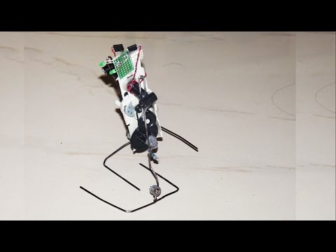 How to make a walking robot at home