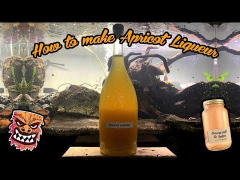 How to make apricot liqueur