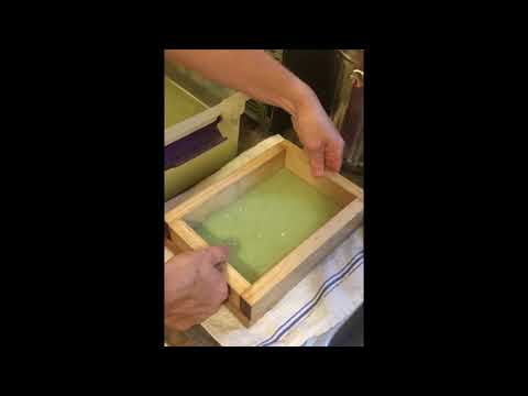 How to make celery paper!