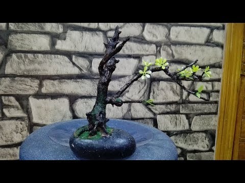 How to make miniature bonsai tree