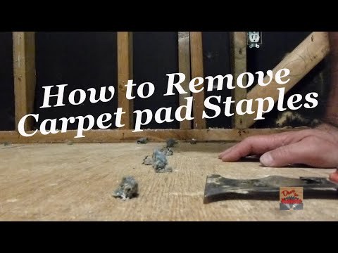 How to remove Carpet pad Staples