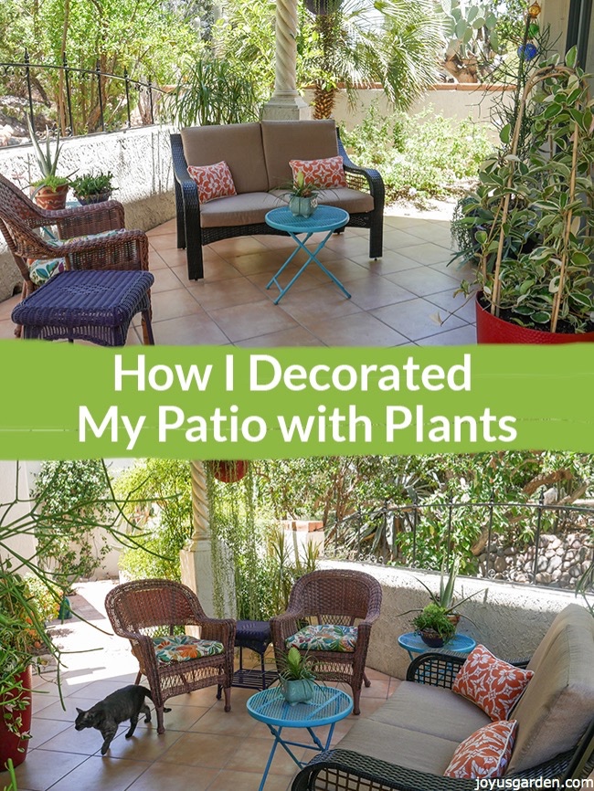 How-I-Decorated-My-Patio-with-Plants_new.jpg