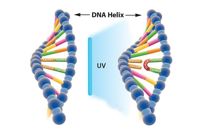 How-UV-Disinfection-Systems-Works.jpg