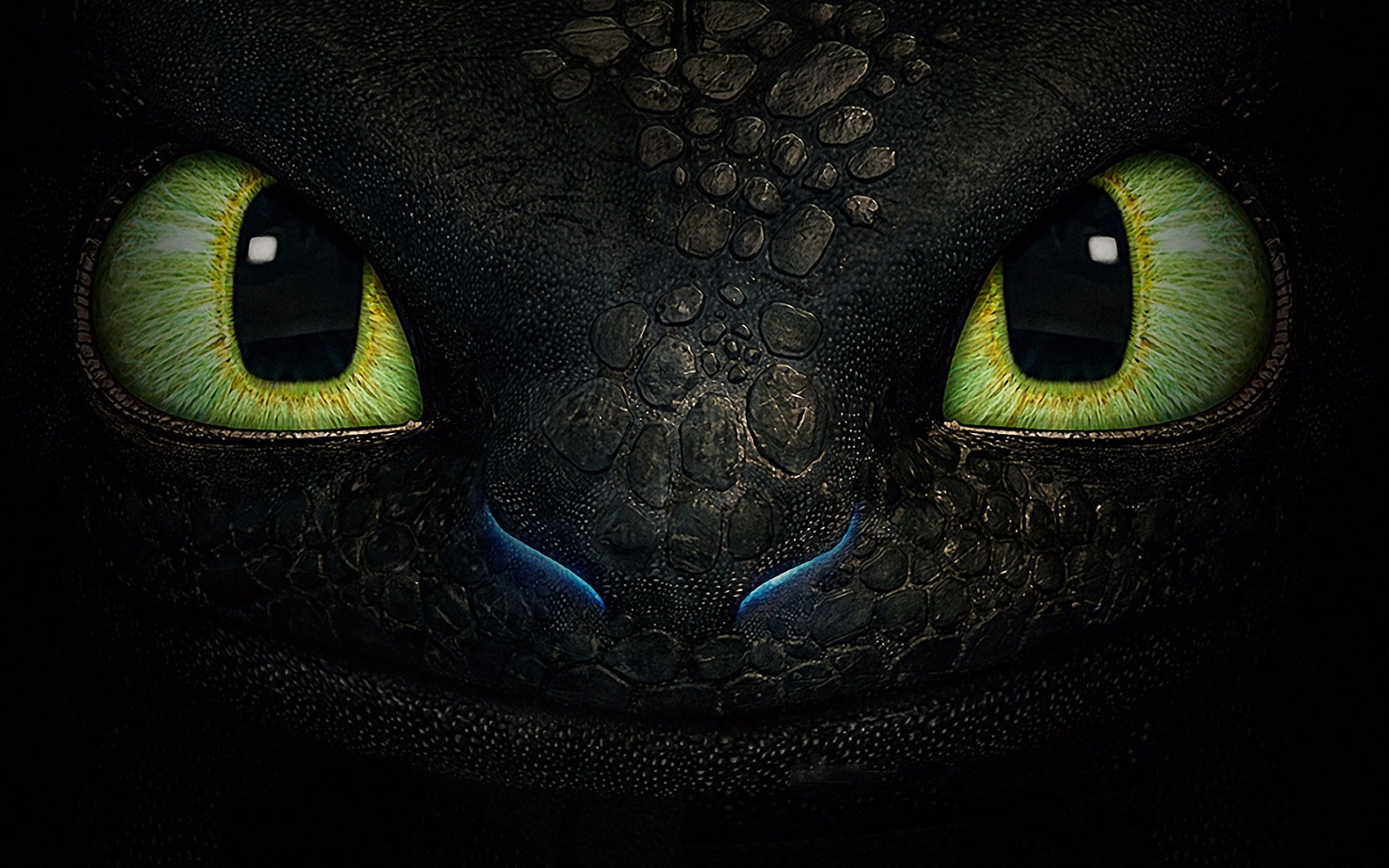 How-to-Train-Your-Dragon-Toothless-Face-HD-Wallpapers.jpg