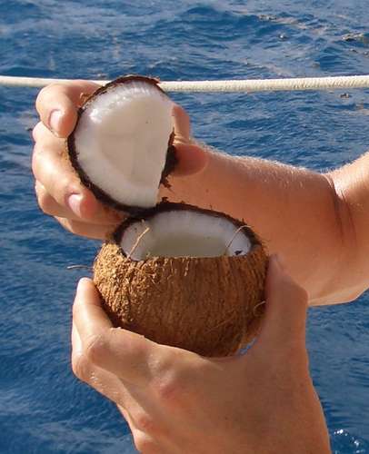 How-to-open-a-coconut.jpg