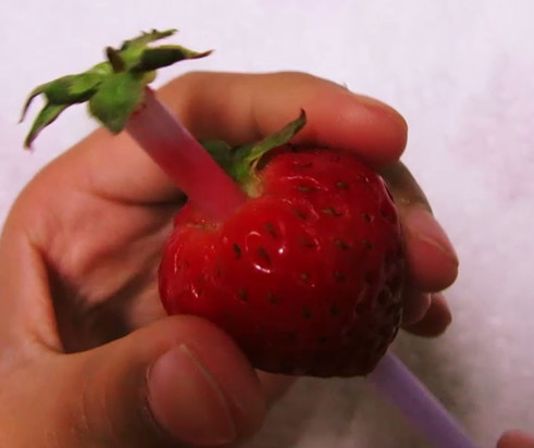 Hulling_strawberries_3.jpg