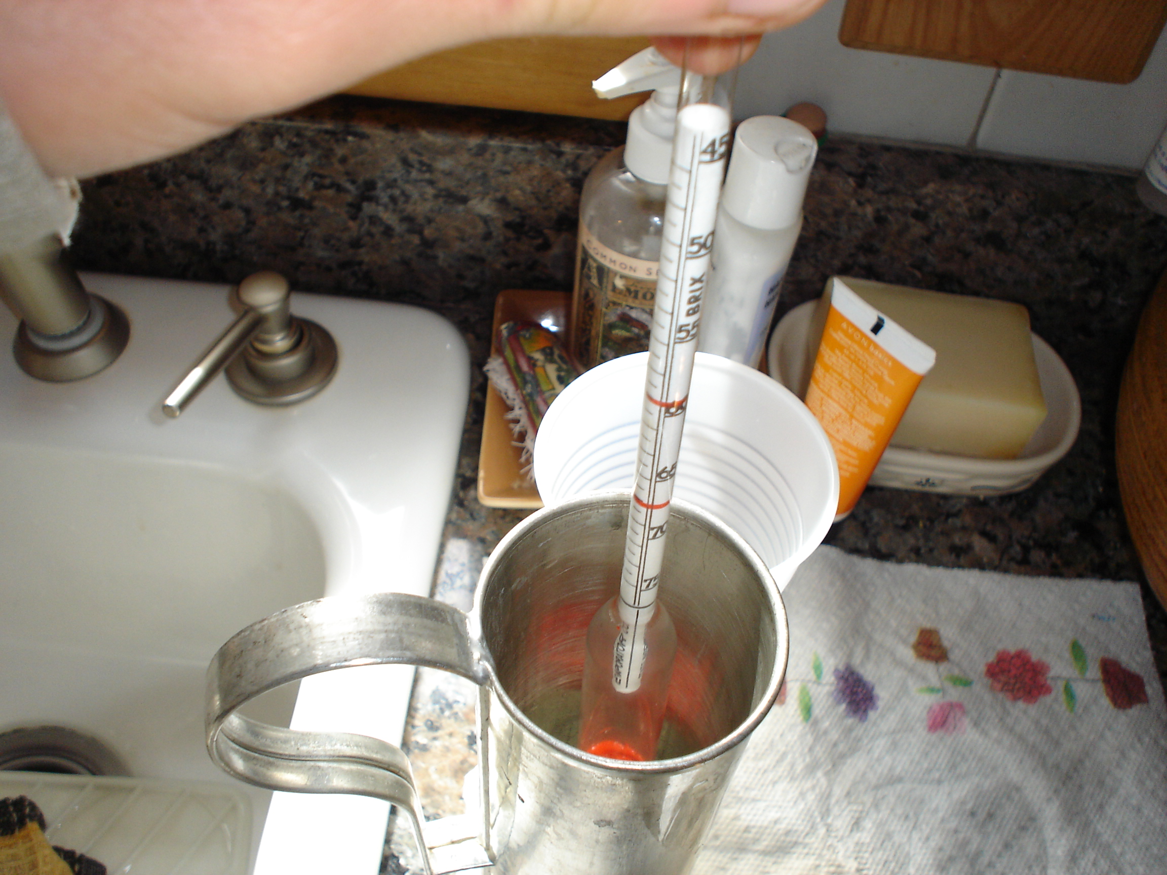 Hydrometer.JPG