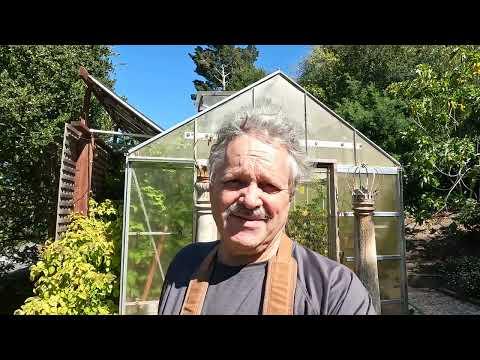 Hydroponic Solar powered greenhouse tour