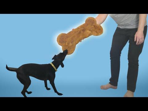 I Made a Dog Treat BIGGER than My Dog!