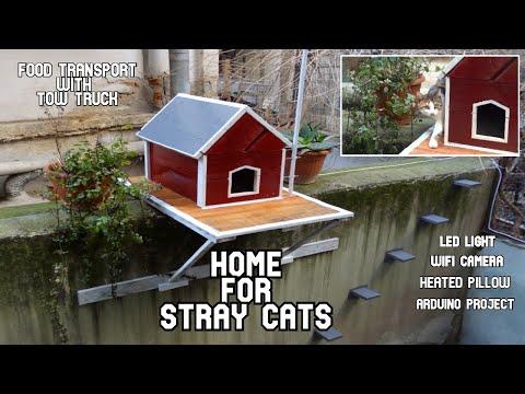 I build a House (Shelter) for Stray Cats in the neighborhood