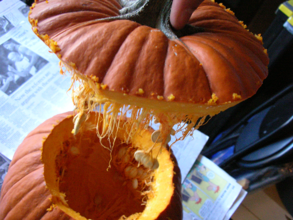 IBLE PUMPKIN 2.bmp