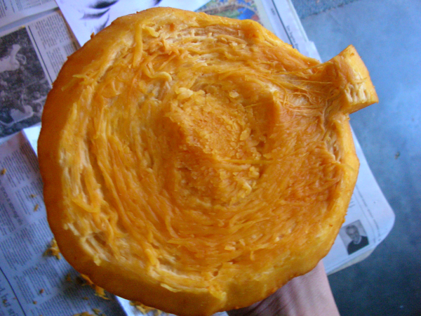 IBLE PUMPKIN 3.bmp