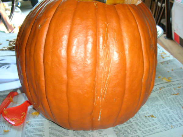 IBLE PUMPKIN 6.bmp