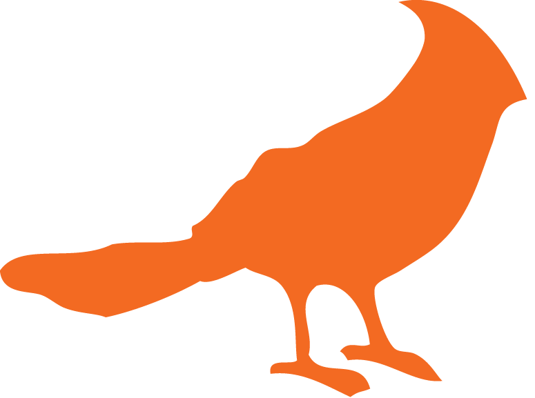 IFC-bird.png