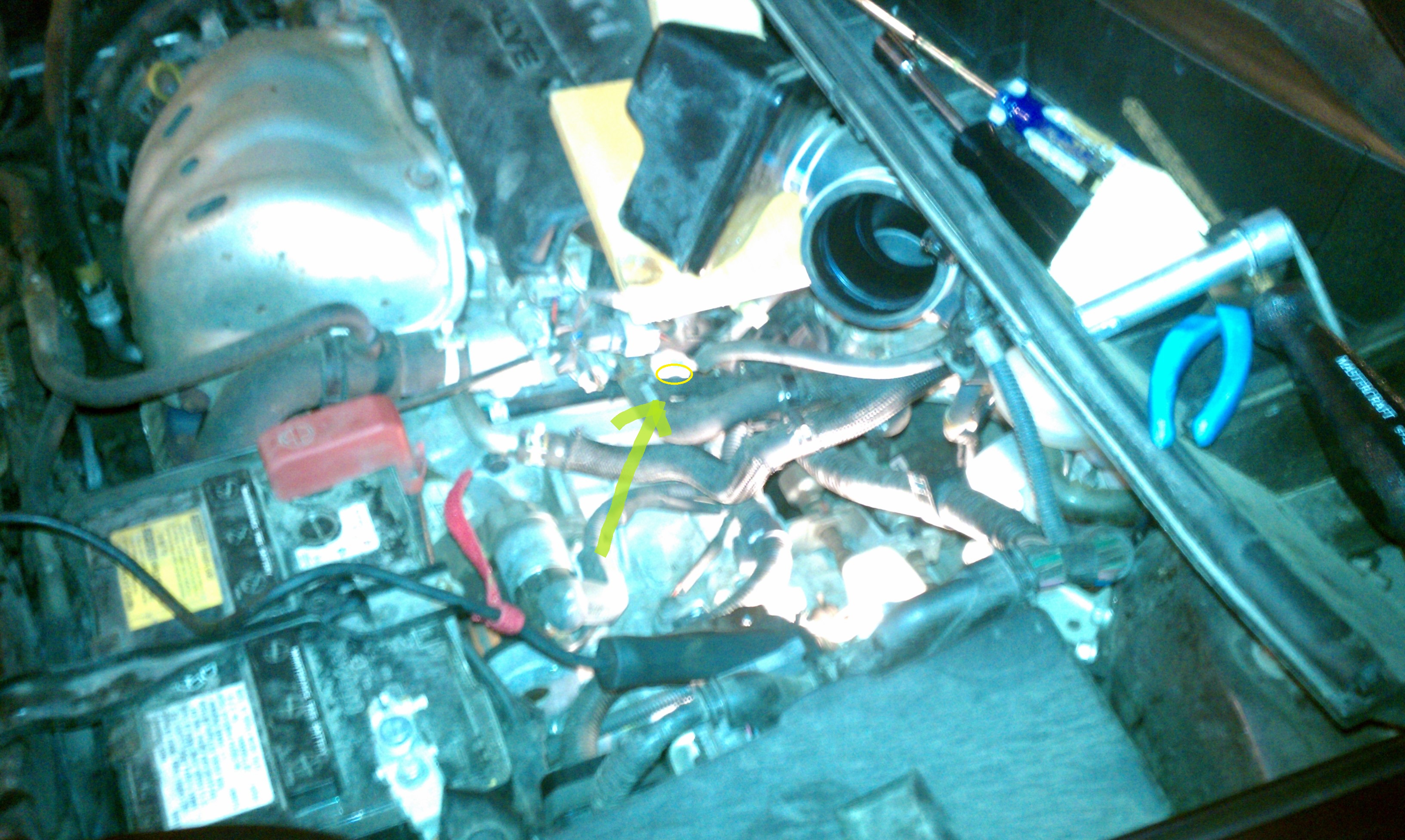IMAG0038.jpg