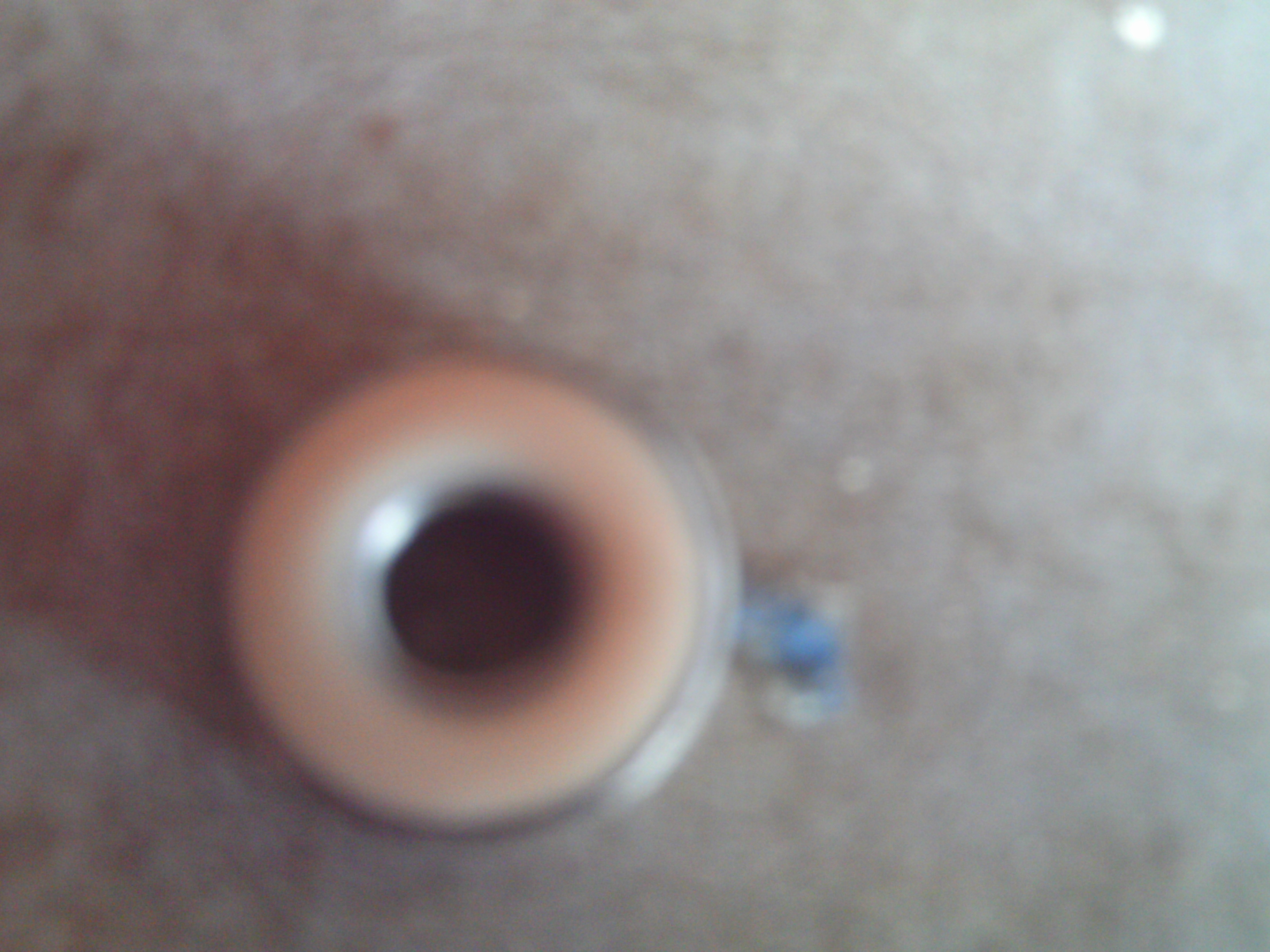 IMAG0138.JPG