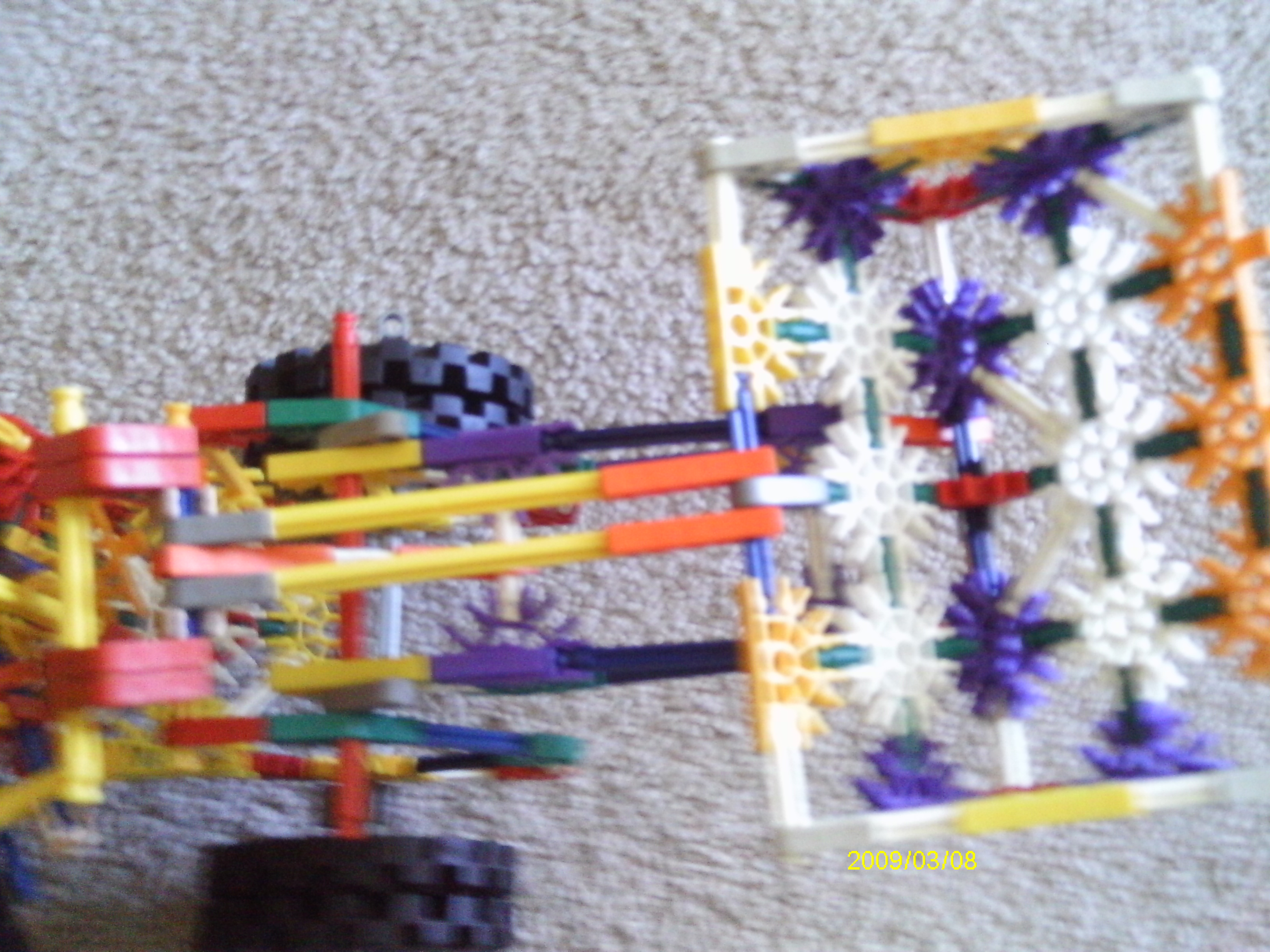 IMAG0259.JPG