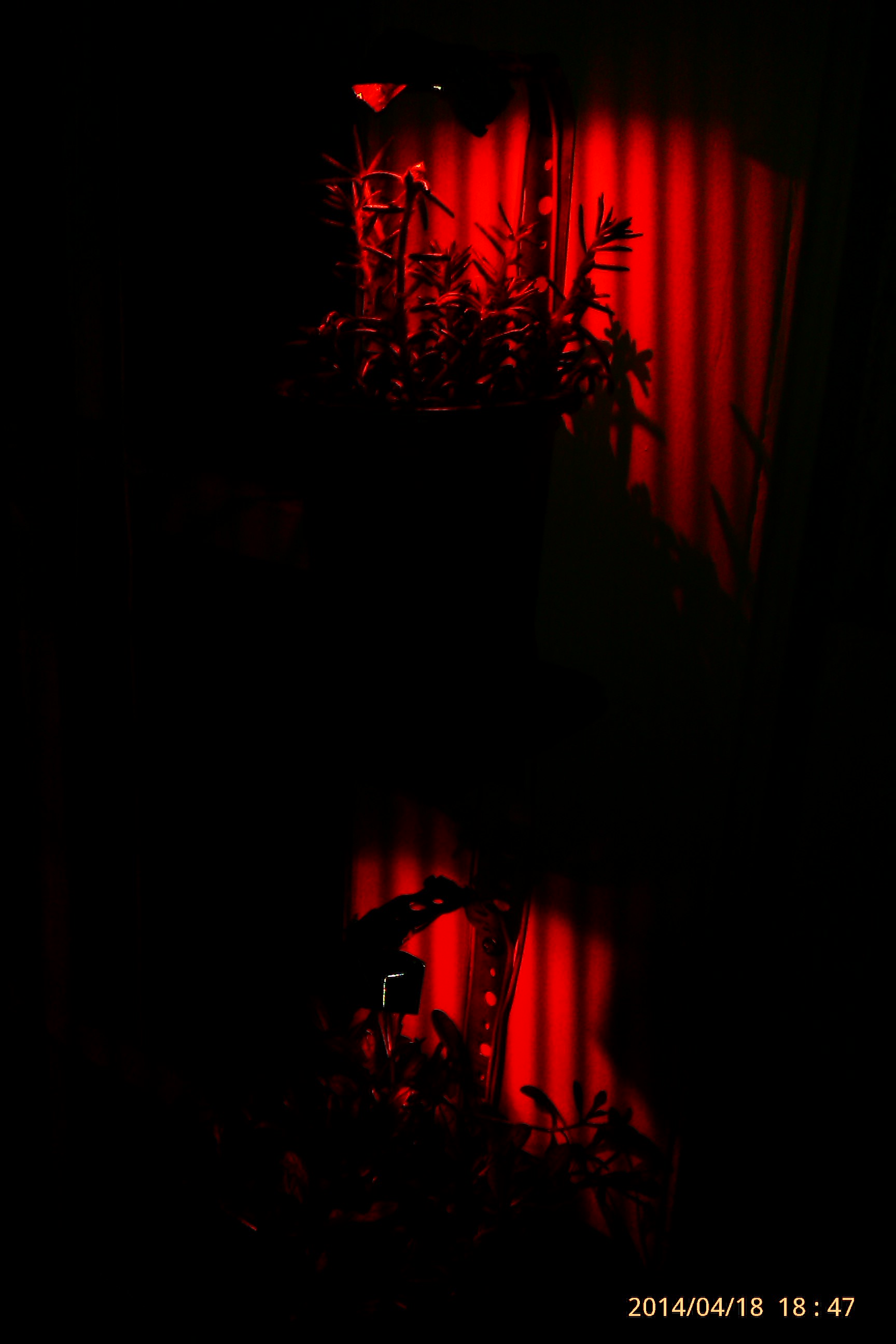 IMAG0261.jpg