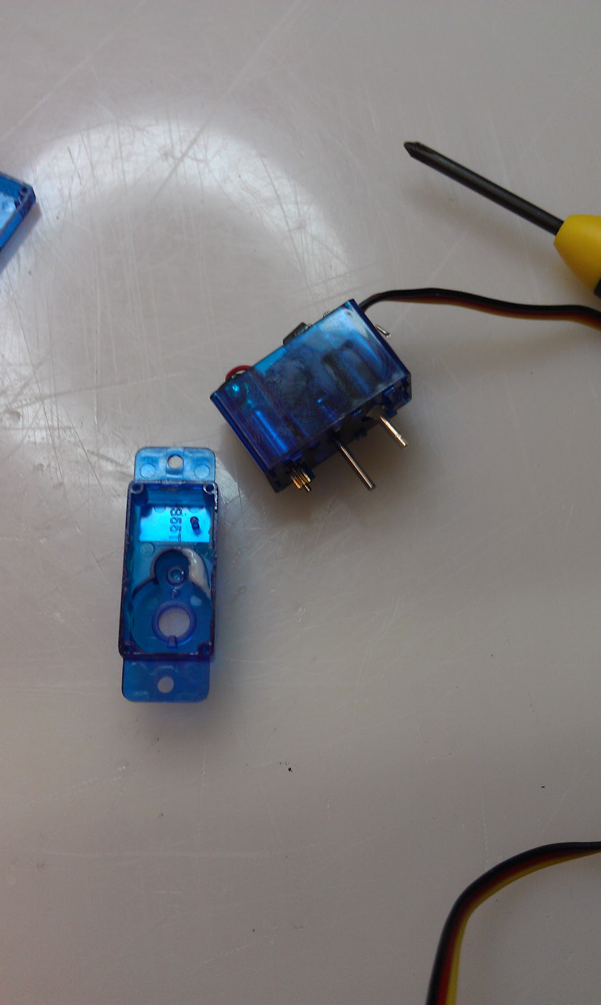 IMAG0338.jpg