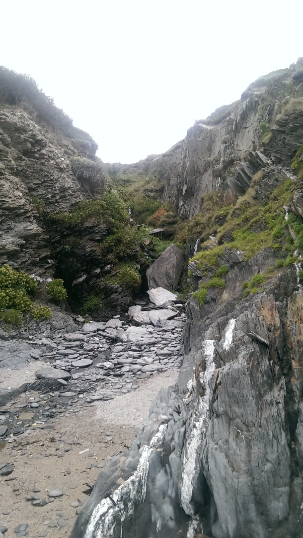 IMAG0996.jpg