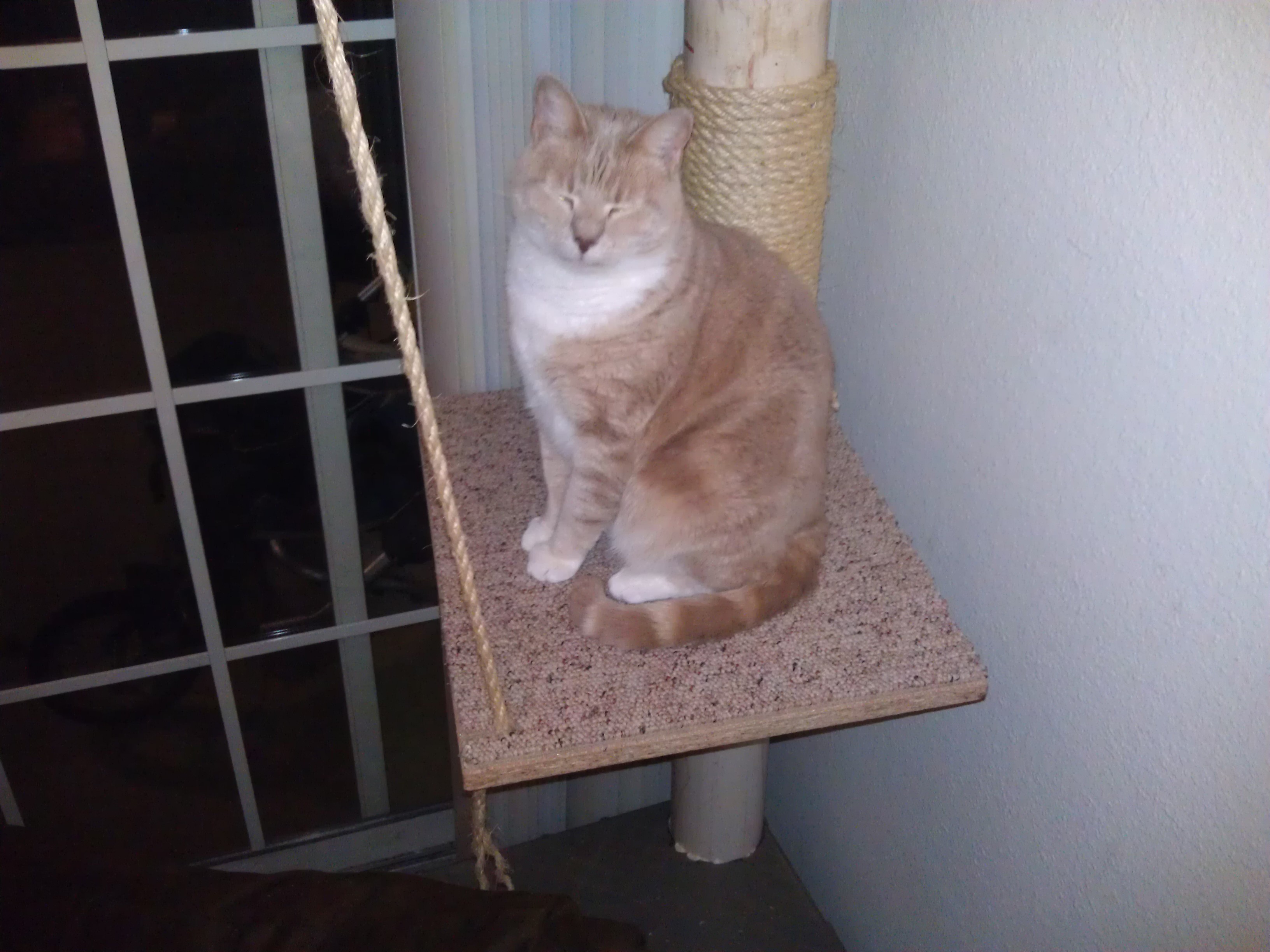 IMAG1068.jpg