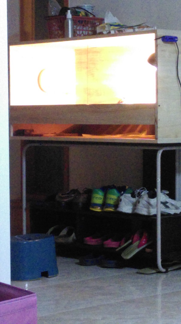 IMAG1561.jpg