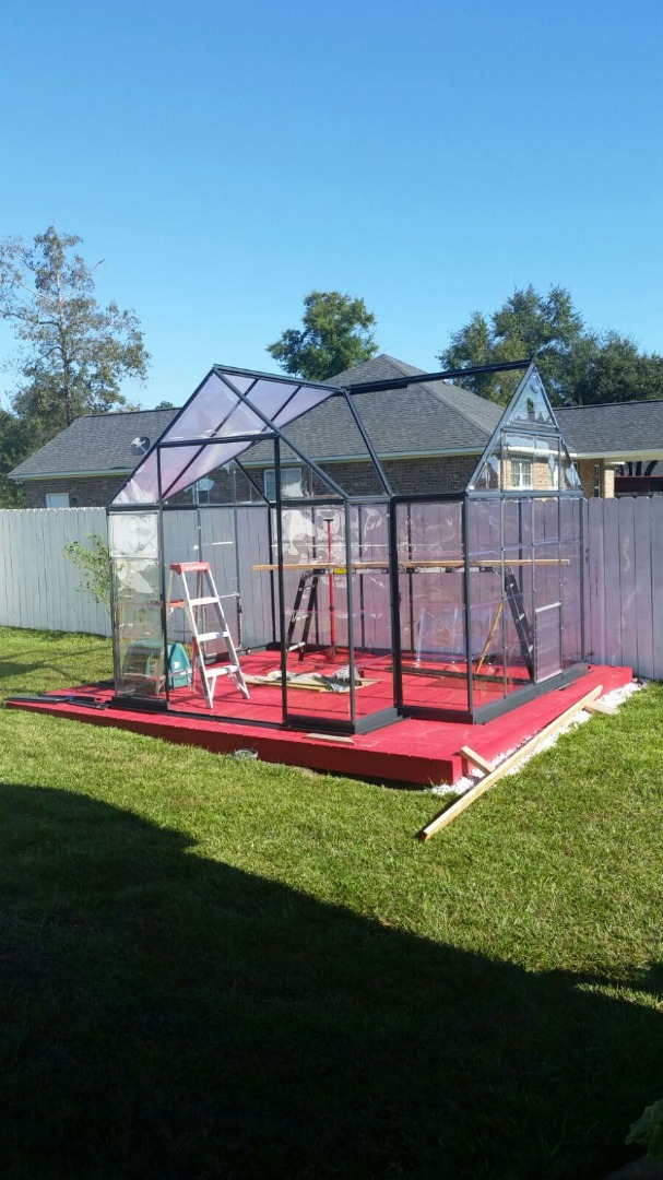 IMG-20151111-WA0001Greenhouse roof panels going up.jpg