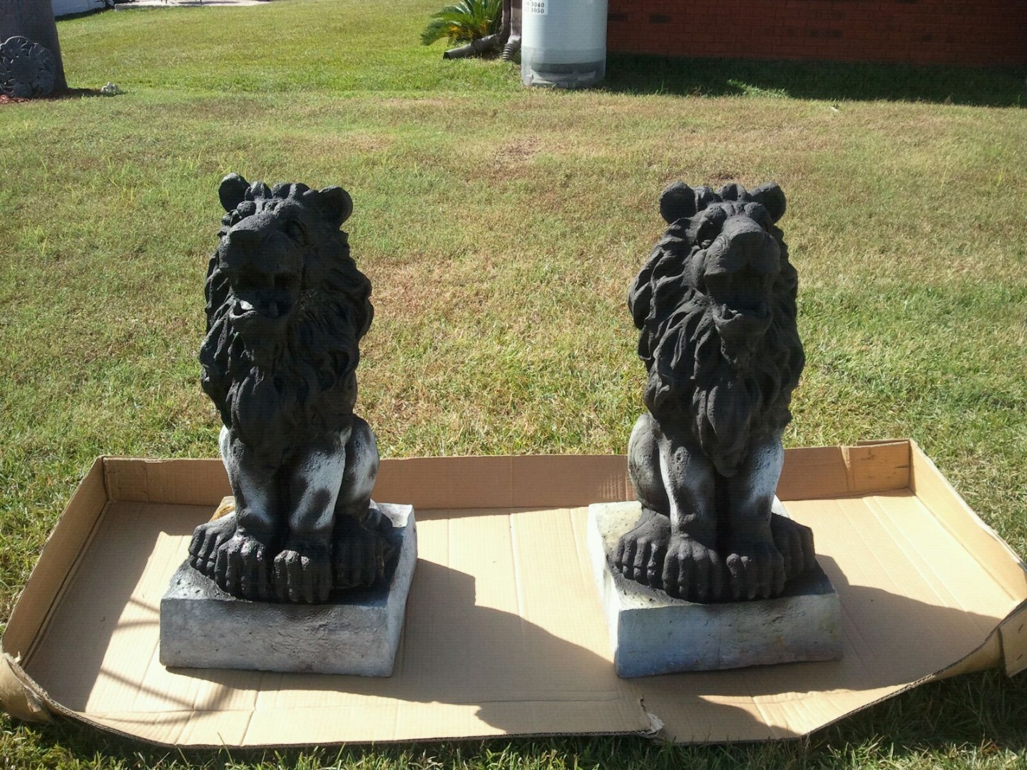 IMG-20151114-WA0010 Painting lions.jpg