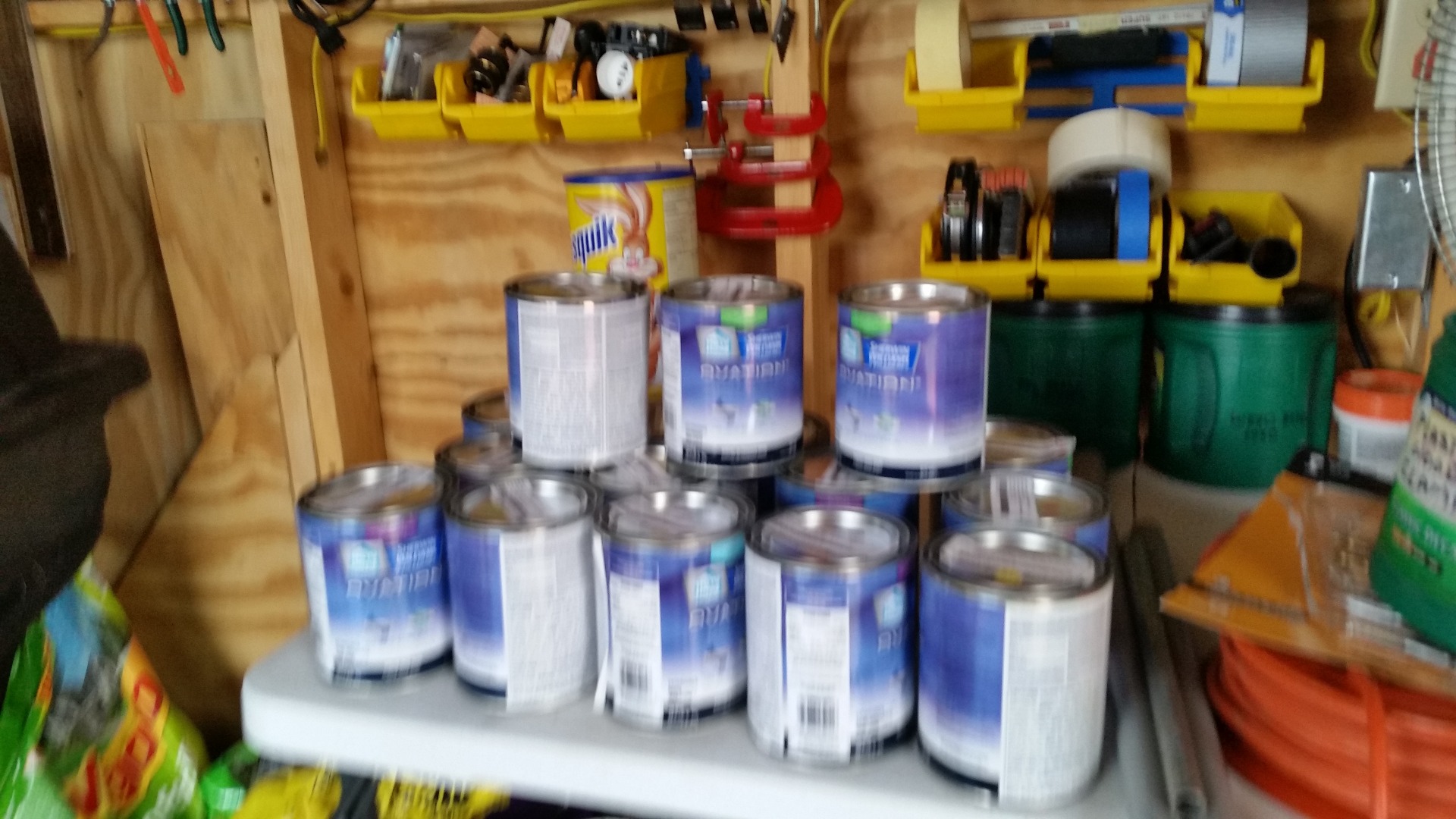 IMG-20151117-WA0002 Paint for Gringe project.jpg