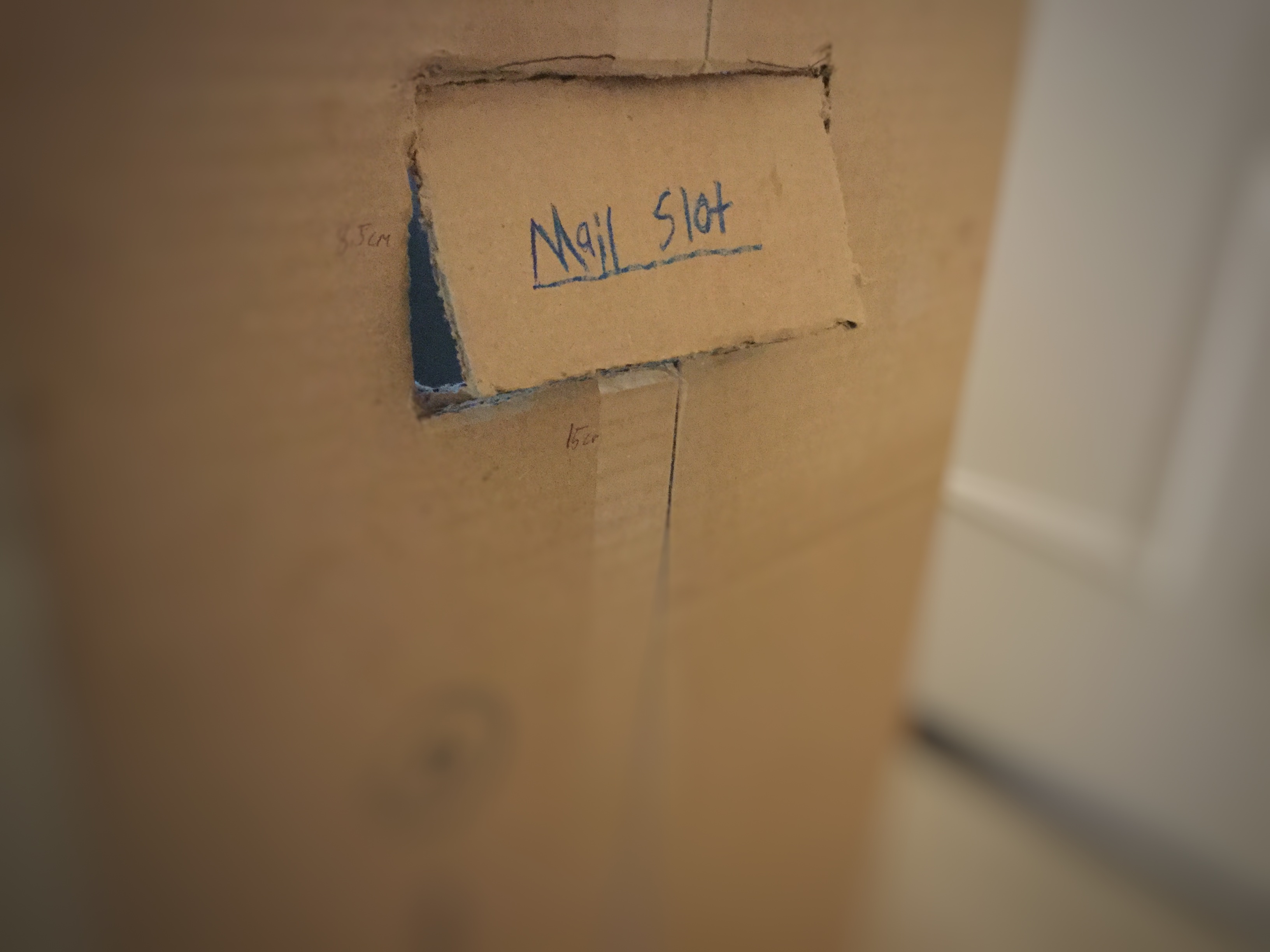 IMG-3971-01.jpeg