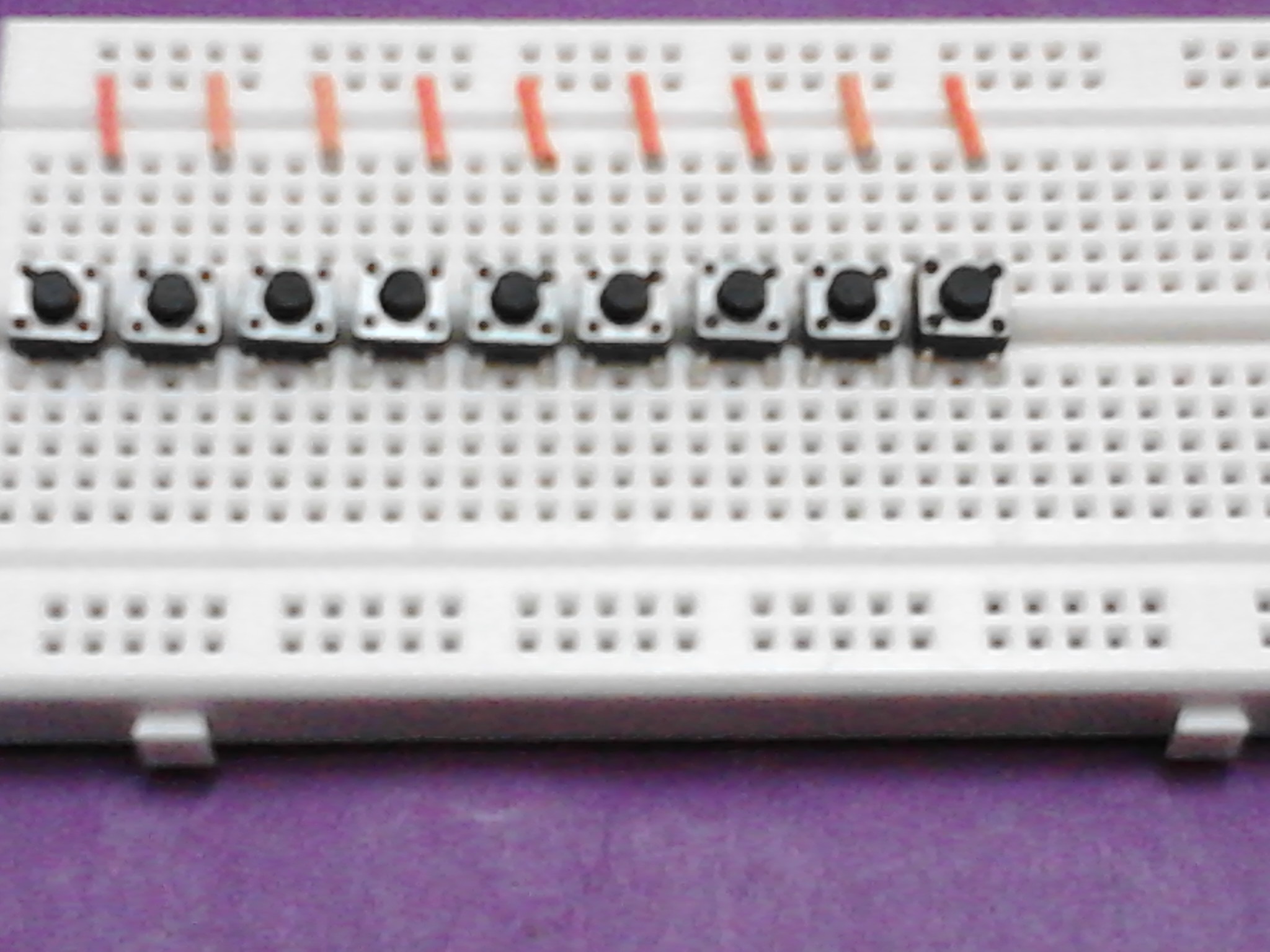 IMG133.jpg