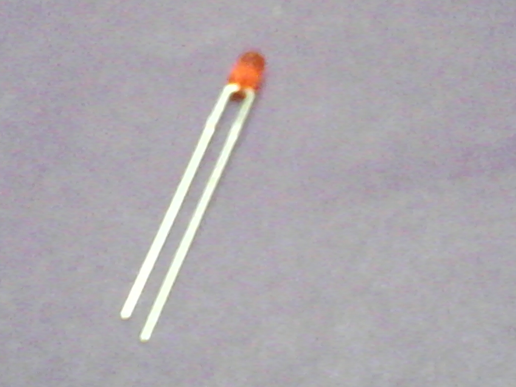 IMG144.jpg
