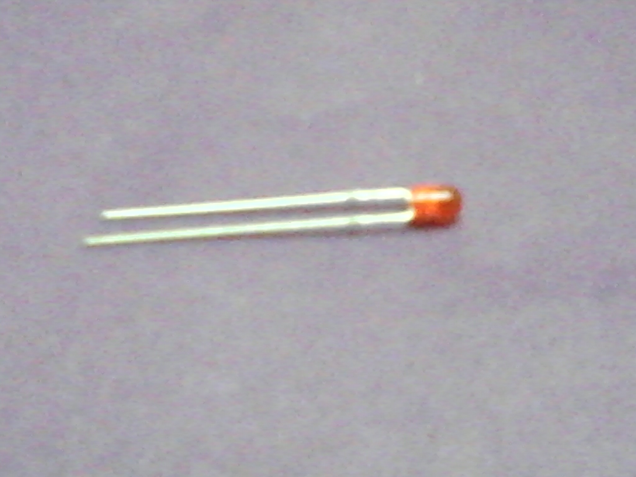 IMG145.jpg