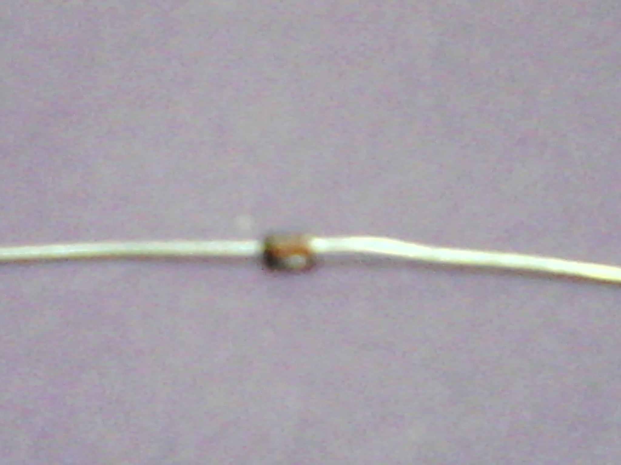 IMG146.jpg