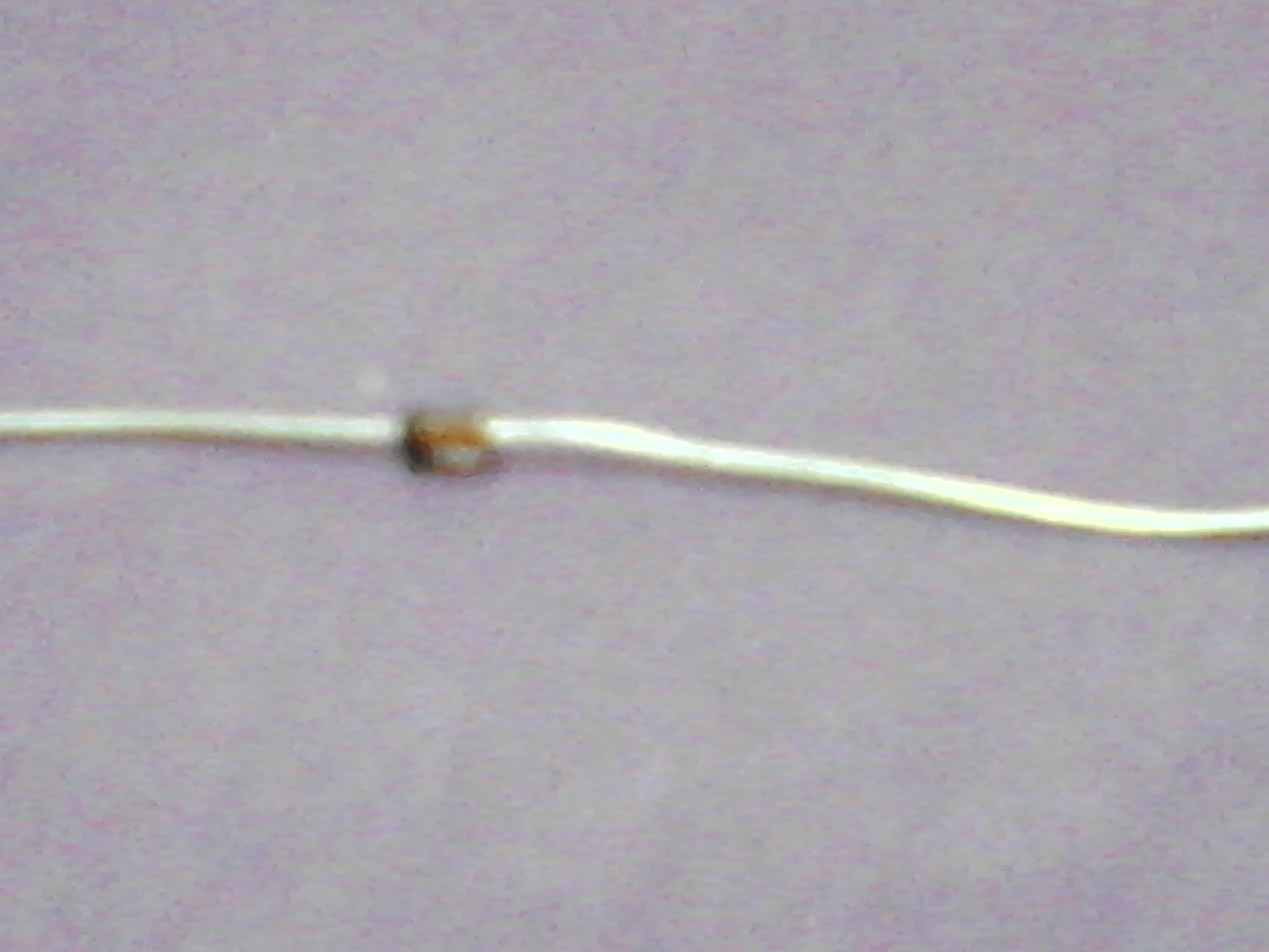 IMG147.jpg