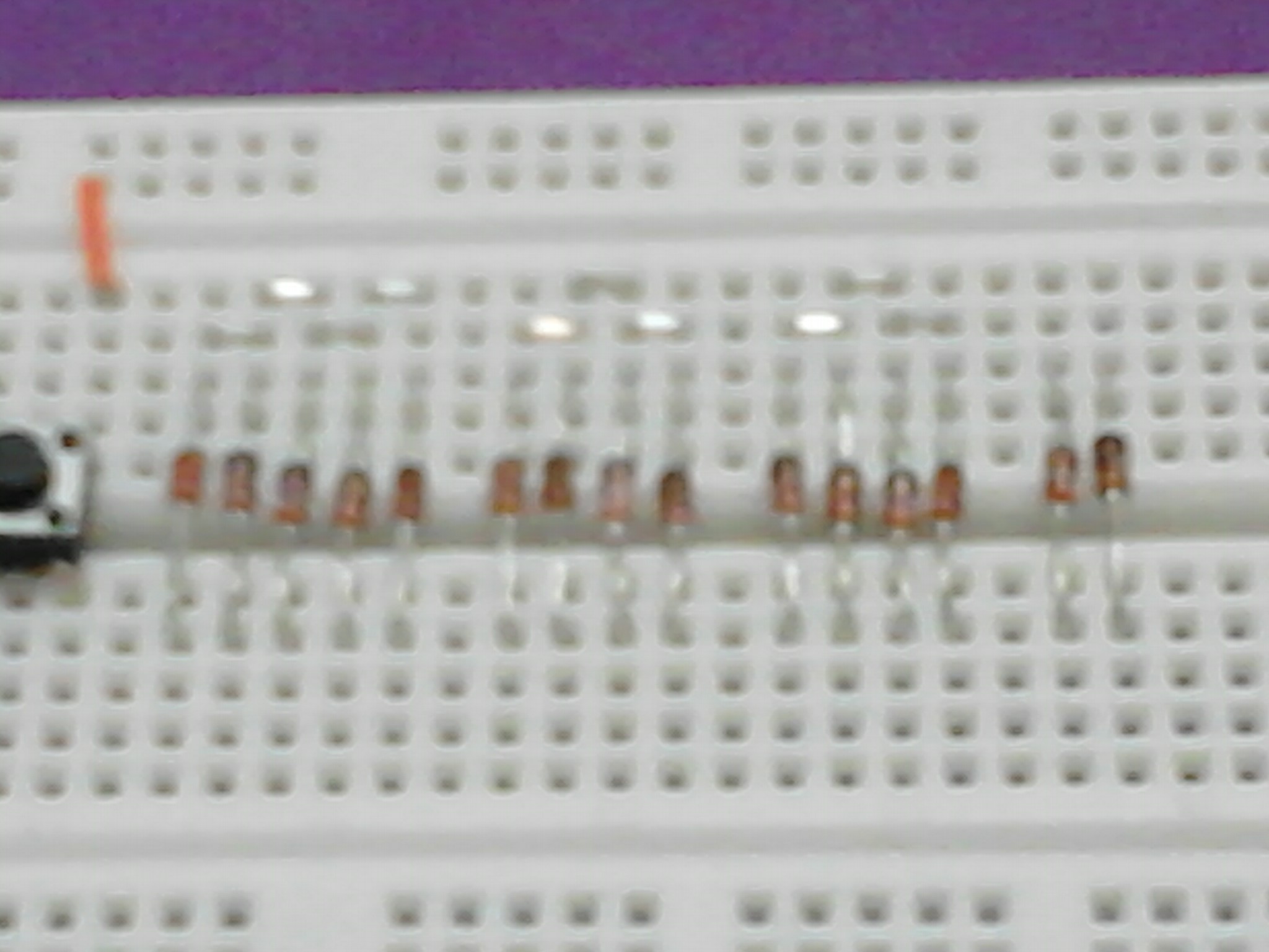 IMG182.jpg