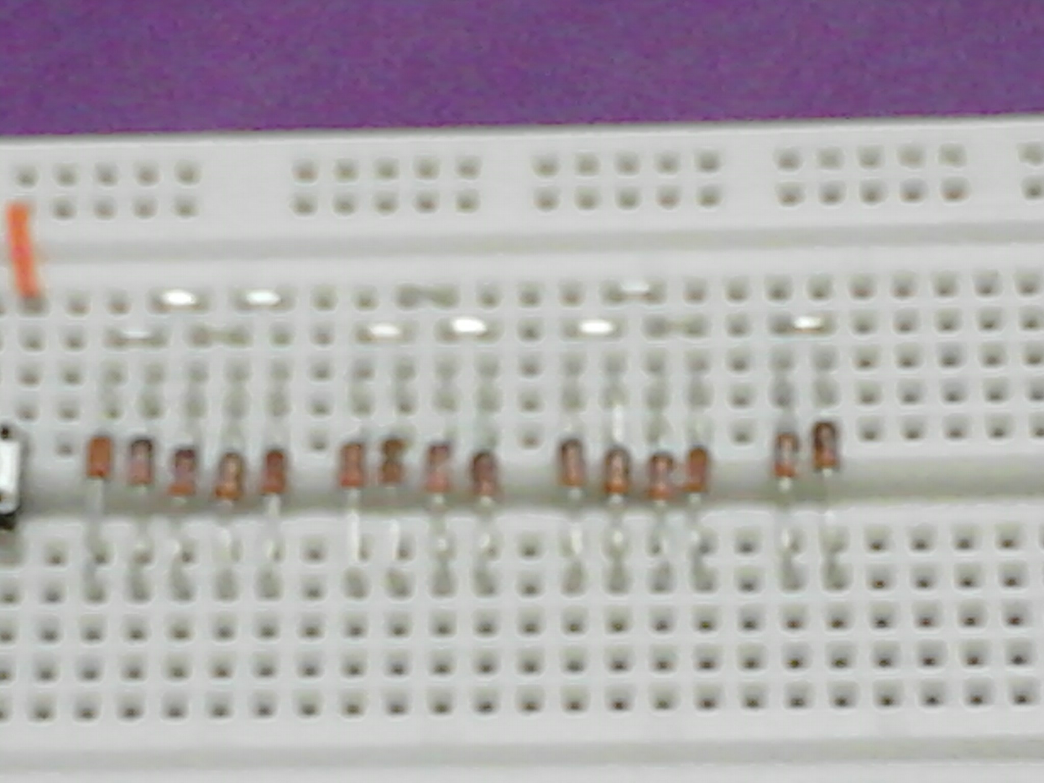 IMG187.jpg