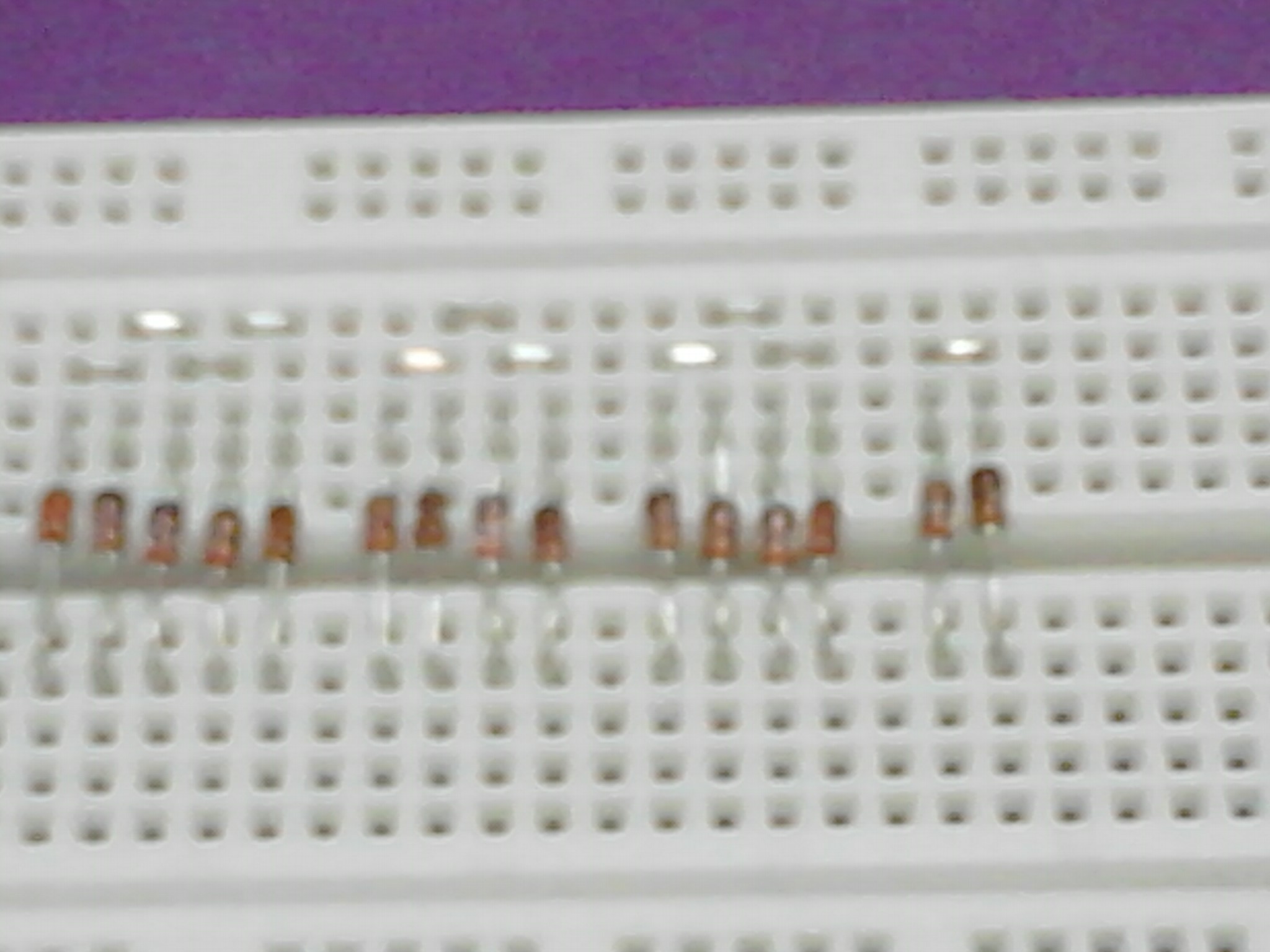 IMG191.jpg